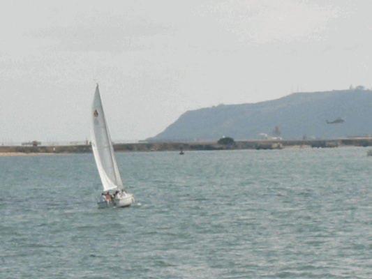Image sd319.gif for directory Mikes trip to San Diego Part 3