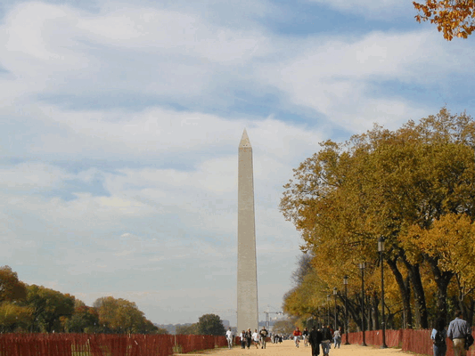 Image msttdc16.gif for directory Mike and Scott-Trip to DC-Nov 2002-Part 1