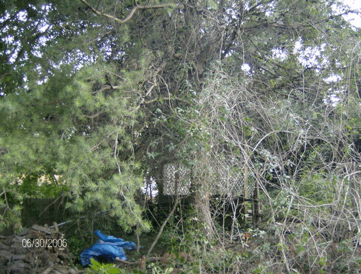 Image mpft24.gif for directory Mikeys Pics from Tony