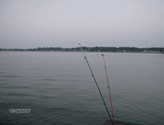 Image mpt51.gif for directory Misc Pics from Tony