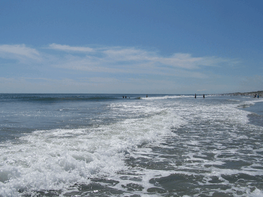 Image Mike_at_Nags_Head_2009_Sat-Mon_16.gif for directory Mike at Nags Head 2009 Sat-Mon