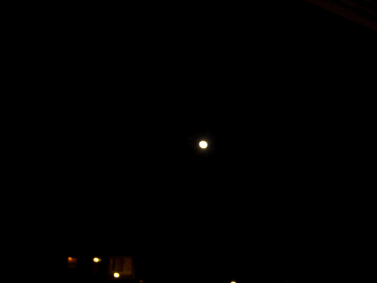 Image Moonlight_Feels_Right_7.gif for directory Moonlight Feels Right