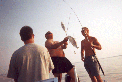 Image 1 (fish01_small.gif) for directory Fishing.