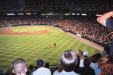 Image 9 (os09_small.gif) for directory Orioles Game.