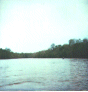 Image 7 (rap08_small.gif) for directory Rappahannock.