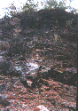 Image 2 (shan05_small.gif) for directory Shenandoah.