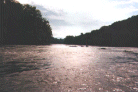 Random User Pic shan06.gif for the year 2000 directory Shenandoah