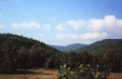 Image 14 (shan24_small.gif) for directory Shenandoah.