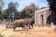 Image 9 (zoo09_small.gif) for directory Zoo.