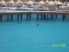 Image 36 (swd42_small.gif) for directory Swimming with the Dolphins - Cancun 2006.