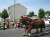 Image 4 (Dale_City_Parade_2008_4_small.gif) for directory Dale City Parade 2008.