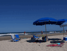 Random User Pic Mike_and_Donna_at_Corolla_2010_89.gif for the year 2010 directory Mike and Donna at Corolla 2010