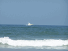 Image 78 (Mike_and_Donna_at_Corolla_2010_5_80_small.gif) for directory Mike and Donna at Corolla 2010 5.