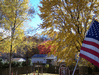 Random User Pic More_Fall_Pics_2010_29.gif for the year 2010 directory More Fall Pics 2010