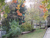 Random User Pic More_Fall_Pics_2010_33.gif for the year 2010 directory More Fall Pics 2010