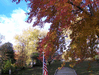 Random User Pic More_Fall_Pics_2010_8.gif for the year 2010 directory More Fall Pics 2010