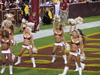 Image 72 (Redskins_beat_Dallas_Fall_2010_53_small.gif) for directory Redskins beat Dallas Fall 2010.