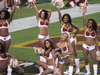 Image 97 (Redskins_beat_Dallas_Fall_2010_76_small.gif) for directory Redskins beat Dallas Fall 2010.