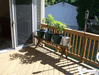 Image 9 (Shed_and_Deck_Refinishing_2010_18_small.gif) for directory Shed and Deck Refinishing 2010.