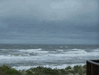 Image 35 (Carolla_Beach_Vacation_2011_1_40_small.gif) for directory Carolla Beach Vacation 2011 1.