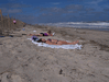 Image 14 (Carolla_Beach_Vacation_2011_3_21_small.gif) for directory Carolla Beach Vacation 2011 3.