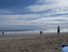 Image 79 (Carolla_Beach_Vacation_2011_3_80_small.gif) for directory Carolla Beach Vacation 2011 3.