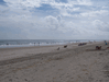 Random User Pic Carolla_Beach_Vacation_2011_4_100.gif for the year 2011 directory Carolla Beach Vacation 2011 4