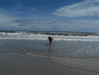 Image 45 (Carolla_Beach_Vacation_2011_4_4_small.gif) for directory Carolla Beach Vacation 2011 4.