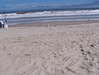 Image 59 (Carolla_Beach_Vacation_2011_4_62_small.gif) for directory Carolla Beach Vacation 2011 4.