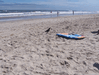 Image 61 (Carolla_Beach_Vacation_2011_4_64_small.gif) for directory Carolla Beach Vacation 2011 4.