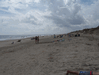 Image 6 (Carolla_Beach_Vacation_2011_5_14_small.gif) for directory Carolla Beach Vacation 2011 5.