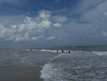 Image 27 (Carolla_Beach_Vacation_2011_5_33_small.gif) for directory Carolla Beach Vacation 2011 5.