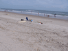 Image 34 (Carolla_Beach_Vacation_2011_5_3_small.gif) for directory Carolla Beach Vacation 2011 5.