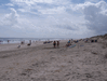 Image 56 (Carolla_Beach_Vacation_2011_5_5_small.gif) for directory Carolla Beach Vacation 2011 5.