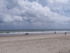 Image 58 (Carolla_Beach_Vacation_2011_5_61_small.gif) for directory Carolla Beach Vacation 2011 5.