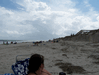 Image 74 (Carolla_Beach_Vacation_2011_5_76_small.gif) for directory Carolla Beach Vacation 2011 5.