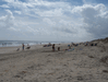 Image 78 (Carolla_Beach_Vacation_2011_5_7_small.gif) for directory Carolla Beach Vacation 2011 5.