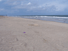 Image 7 (Carolla_Beach_Vacation_2011_6_10_small.gif) for directory Carolla Beach Vacation 2011 6.