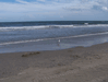 Image 31 (Carolla_Beach_Vacation_2011_6_32_small.gif) for directory Carolla Beach Vacation 2011 6.