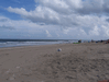 Image 33 (Carolla_Beach_Vacation_2011_6_34_small.gif) for directory Carolla Beach Vacation 2011 6.