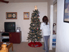 Image 8 (Deep-Fried_Xmas_Fun_2_small.gif) for directory Deep-Fried Xmas Fun.