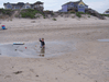 Image 6 (Beach_Pics_from_Mike_2012_1_105_small.gif) for directory Beach Pics from Mike 2012 1.