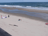 Image 34 (Beach_Pics_from_Mike_2012_1_130_small.gif) for directory Beach Pics from Mike 2012 1.