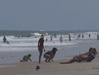 Image 43 (Beach_Pics_from_Mike_2012_1_139_small.gif) for directory Beach Pics from Mike 2012 1.