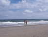 Image 49 (Beach_Pics_from_Mike_2012_1_144_small.gif) for directory Beach Pics from Mike 2012 1.