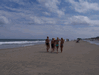 Image 54 (Beach_Pics_from_Mike_2012_1_149_small.gif) for directory Beach Pics from Mike 2012 1.