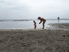 Image 55 (Beach_Pics_from_Mike_2012_1_14_small.gif) for directory Beach Pics from Mike 2012 1.