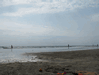 Random User Pic Beach_Pics_from_Mike_2012_1_19.gif for the year 2012 directory Beach Pics from Mike 2012 1