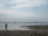 Image 68 (Beach_Pics_from_Mike_2012_1_20_small.gif) for directory Beach Pics from Mike 2012 1.