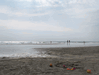 Image 75 (Beach_Pics_from_Mike_2012_1_27_small.gif) for directory Beach Pics from Mike 2012 1.